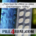 ¿Para Qué Se Utiliza La Jalea Oral Kamagra 100Mg 34